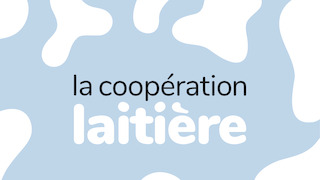 Rapport d'activité 2020