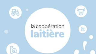 Rapport d'activité 2021